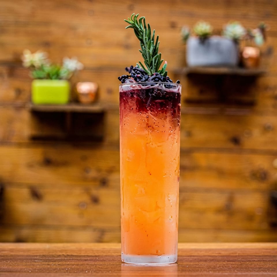 Tall sparkling orange cocktail garnished with blueberries and rosemary on a wooden bar, with potted plants against a wood-paneled wall.